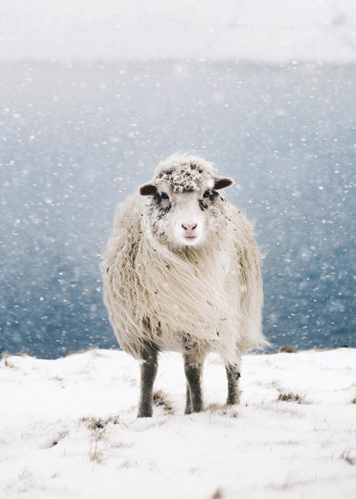 Ein Schaf steht in einer verschneiten Landschaft mit Schneeflocken, die umherwirbeln.