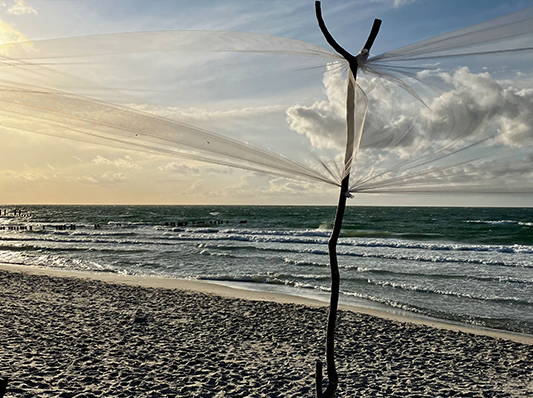 Auf diesem Bild sieht man den Strand in Zingst bei Sonnenschein.