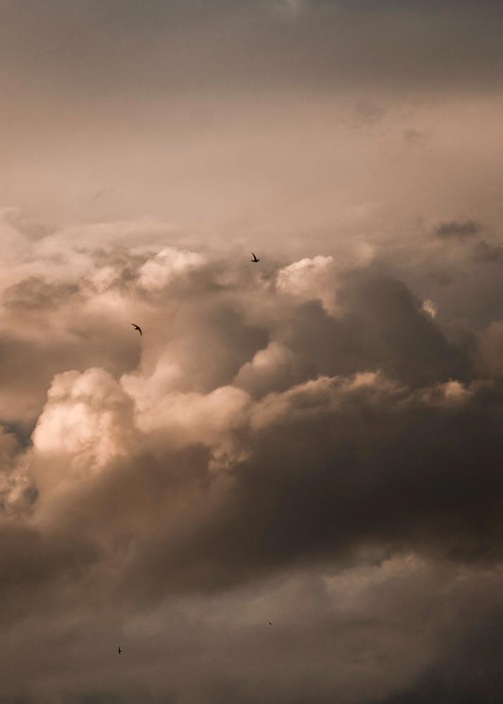 Ein Himmel mit dramatischen Wolkenformationen und Vögeln, die durch die Wolken fliegen.