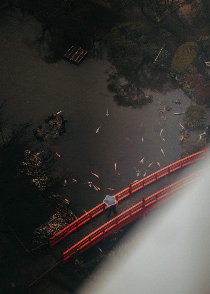 Eine rote Brücke über einem Teich mit Koi-Fischen, die im Wasser schwimmen.