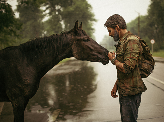 Ein Mann mit einem Pferd auf einer nassen Straße, der dem Pferd zärtlich die Nüstern streichelt.