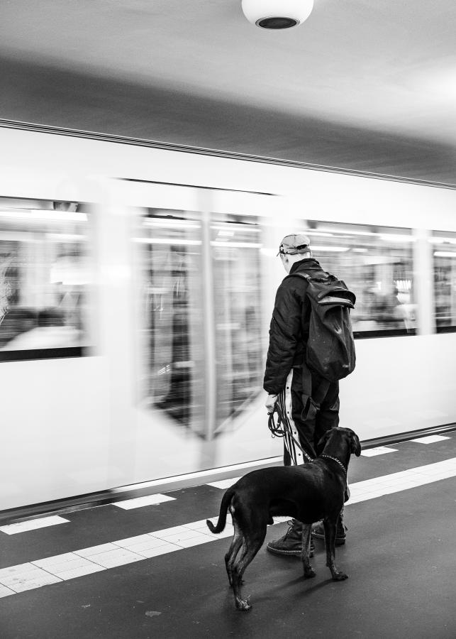 Ein Mann mit Hund wartet darauf, in den grade einfahrenden Zug einzusteigen.