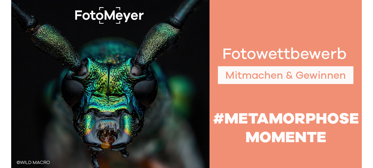 FOTOWETTBEWERB „METAMORPHOSE"