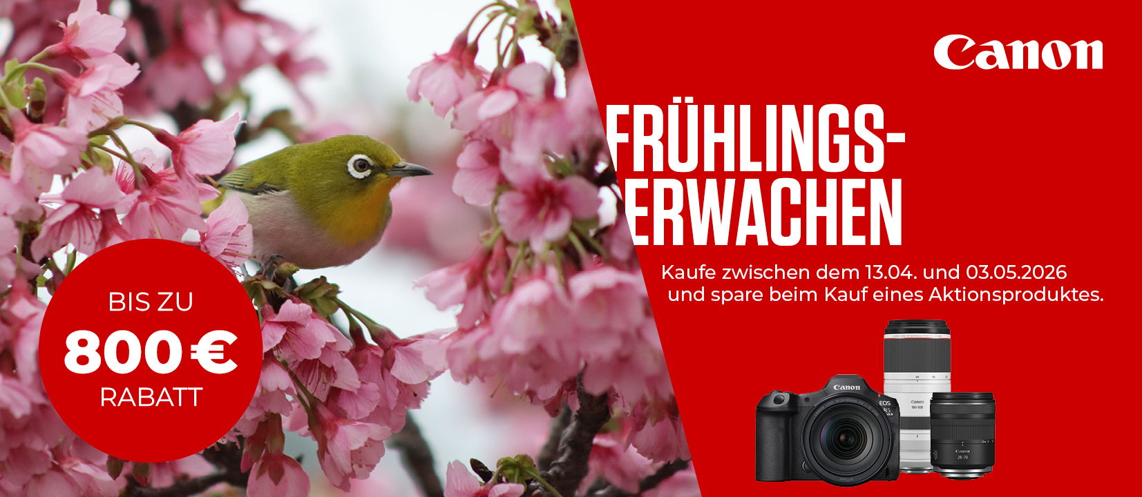 CANON FRÜHLINGSERWACHEN