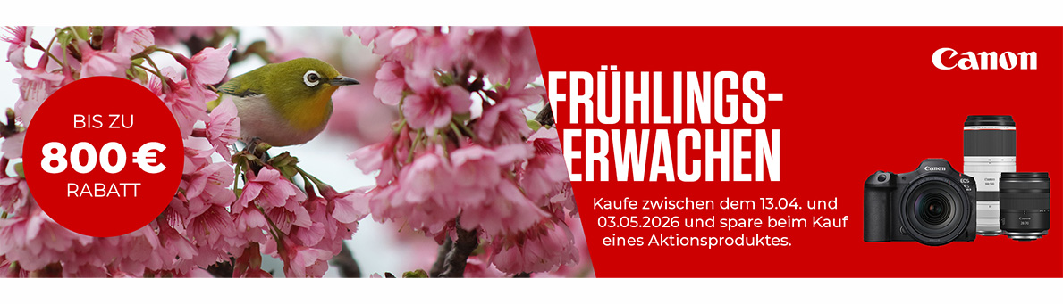 CANON FRÜHLINGSERWACHEN