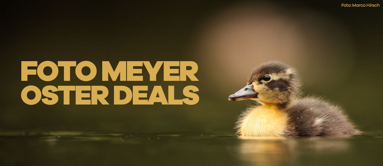 FOTO MEYER OSTER DEALS