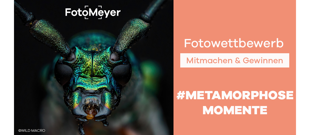 FOTOWETTBEWERB „METAMORPHOSE"