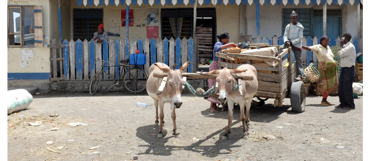TEAMINTERVIEW JÖRG HERRMANN