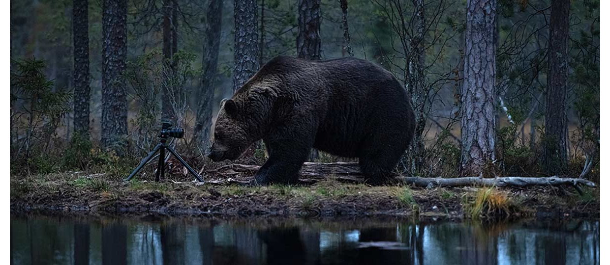 KONSTA PUNKKA: MIT DER Z7II UNTERWEGS IN FINNLANDS WILDNIS