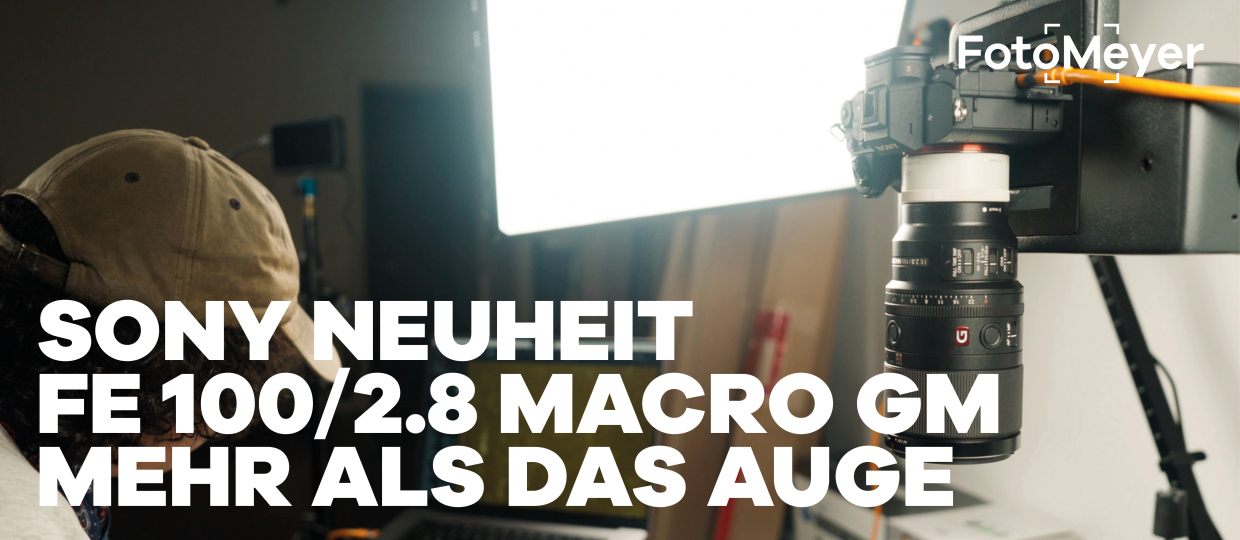 SONY 100MM F2.8 MACRO GM: SUBTILE MUSTER IN NÄCHSTER NÄHE