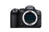 Canon EOS R6 II Gehäuse (200€ Sofortrabatt im Warenkorb)