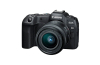 Canon EOS R8 Gehäuse + RF 24-50mm F4.5-6.3 IS STM