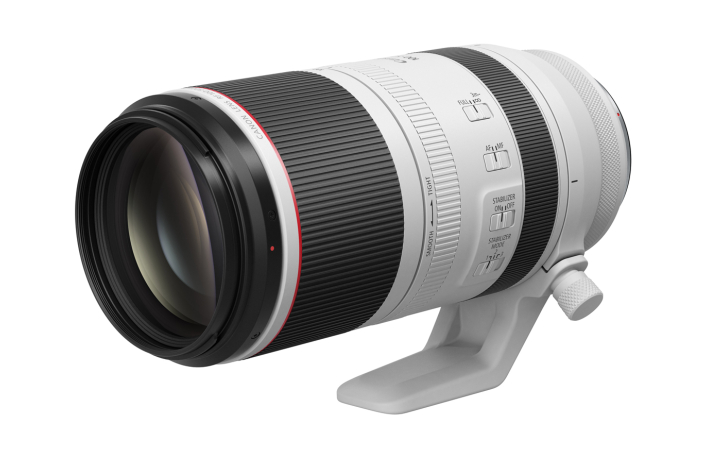 Canon RF 100-500 mm F/4,5-7,1 L IS USM