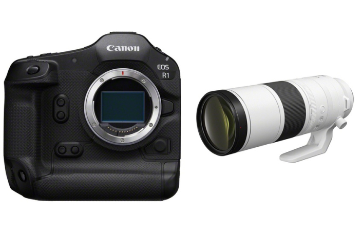 Canon EOS R1 + RF 200-800mm F6.3-9 IS USM