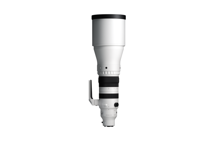 Sigma 300-600mm F4 DG OS Sports L-Mount