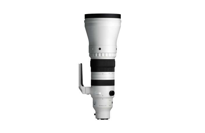 Sigma 300-600mm F4 DG OS Sports E-Mount