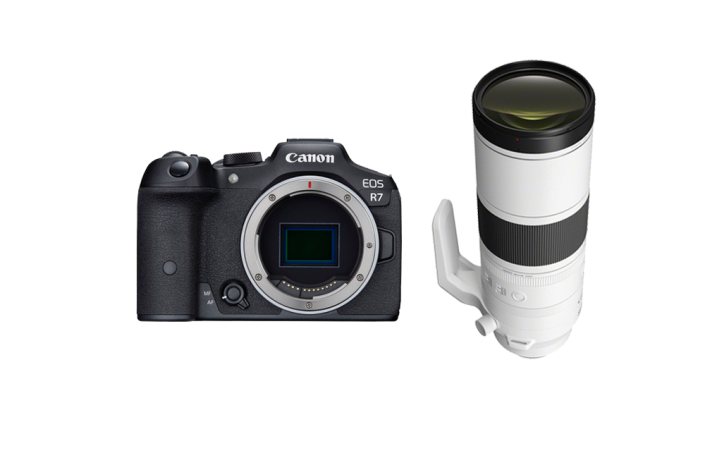 Canon EOS R7 + Canon RF 200-800 mm /6,3-9 IS USM