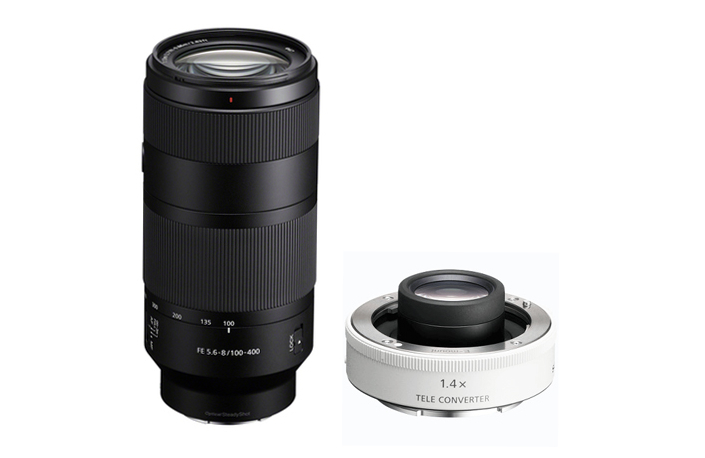 Sony SEL FE 100–400 mm F5.6-8 OSS + Sony SEL 14 TC Tele-Konverter