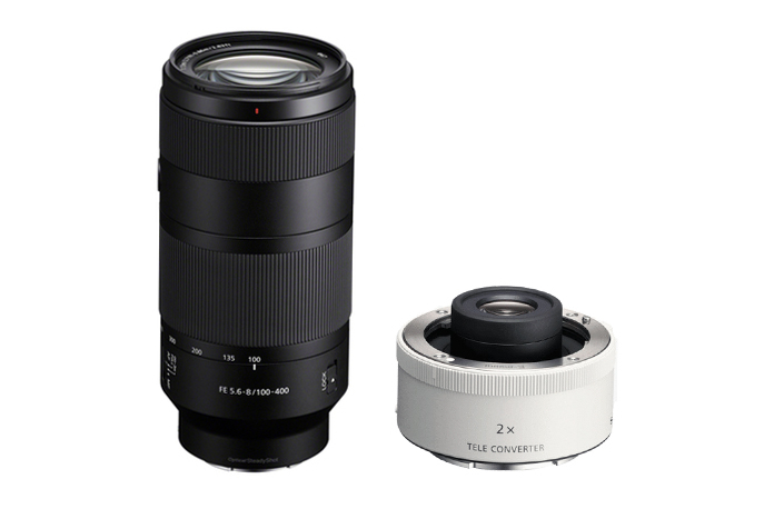 Sony SEL FE 100–400 mm F5.6-8 OSS + Sony SEL 20 TC Tele-Konverter
