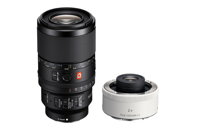Sony SEL FE 100 mm F2.8 Macro GM OSS + Sony TC 20 Konverter