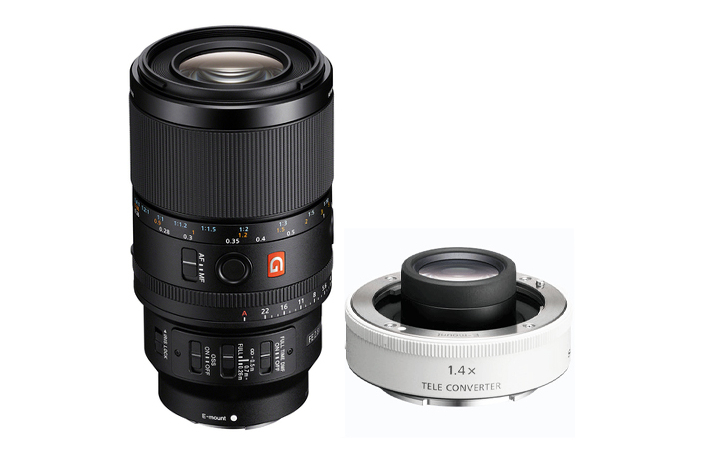 Sony SEL FE 100 mm F2.8 Macro GM OSS + Sony TC 14 Konverter