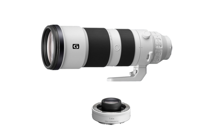 Sony SEL FE 200-600 mm F 5,6-6,3 G OSS + Sony TC 14 Konverter